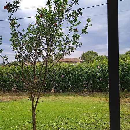 улица лазурна Tyulenovo